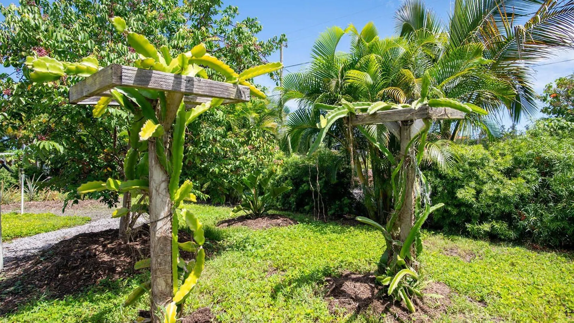 Hotel Glamping Garden Getaway Pahoa 0*,